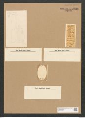 Amphora milesiana Greg. (de-Toni-Nr.: Genus 36, Species 1586) Zeichnungen Sammlung Grunow Nr. 3038 (NHMW-BOT-W0370430)
